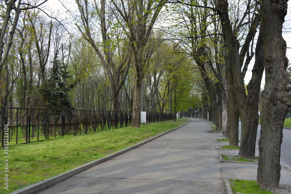 Bright, beautiful nature with city parks, trees, shrubs, green grass, streets, alleys for walking in the city of Dnipro, Dnepropetrovsk, Ukraine. Bright, beautiful nature with city parks, trees, shrubs, green grass, streets, alleys for walking in the city of Dnipro, Dnepropetrovsk, Ukraine.