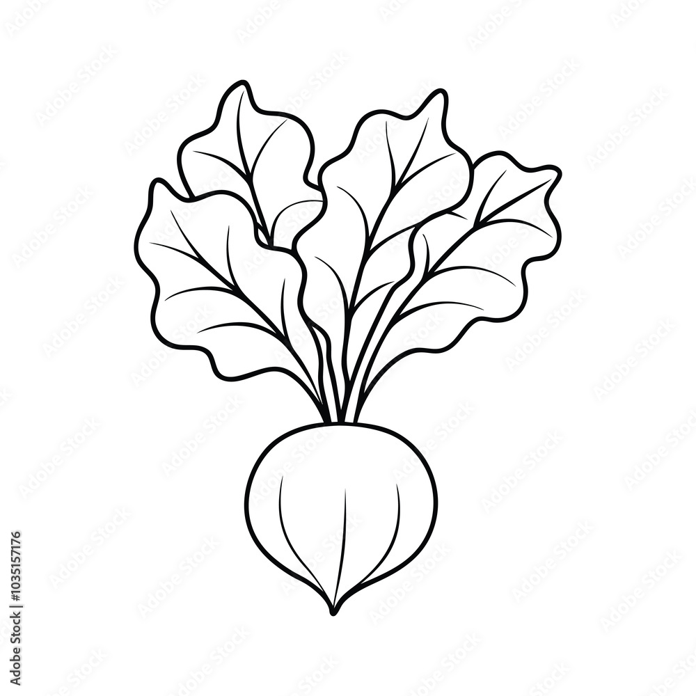 Obraz premium autumn vegetables sey