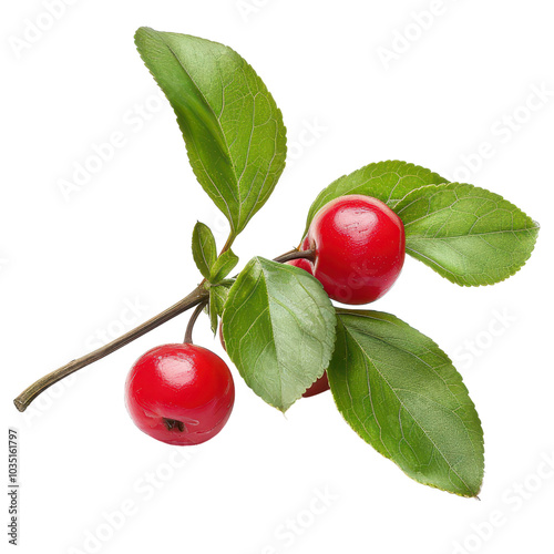 Vibrant red berries with green leaves, perfect for showcasing nature's beauty in photography and design projects. PNG transparent background.