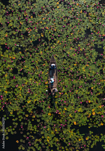 Aerial view of a beautiful landscape with a river and floating waterlilies, Wazirpur, Bangladesh. photo