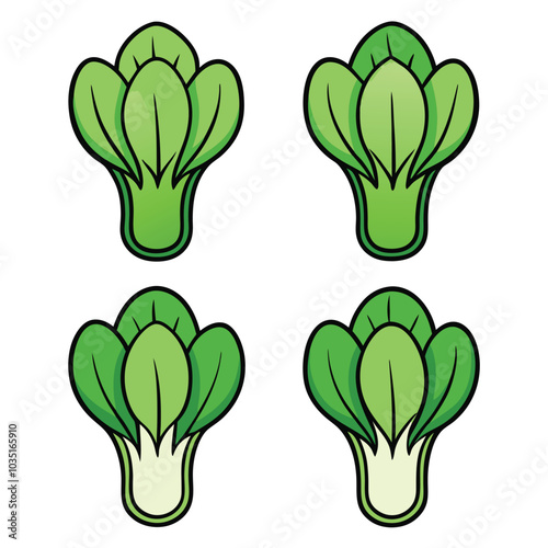 Delicious fresh bok choy vector illustration, bok choy flat icon