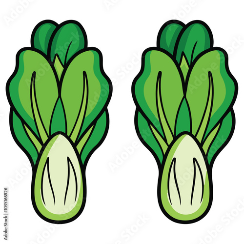 Delicious fresh bok choy vector illustration, bok choy flat icon