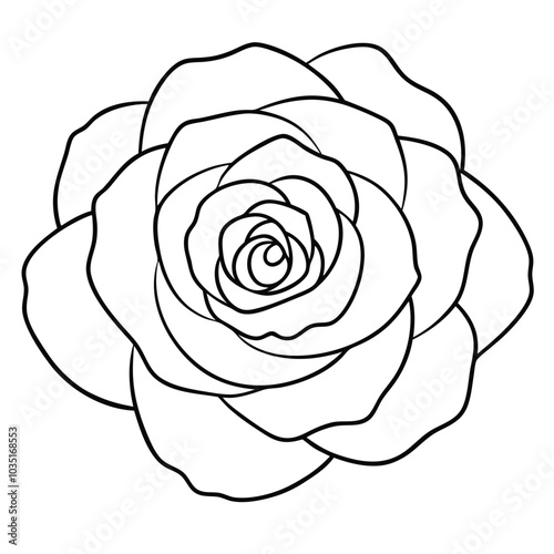 hand-drawn-zinnia-flower-vector line art