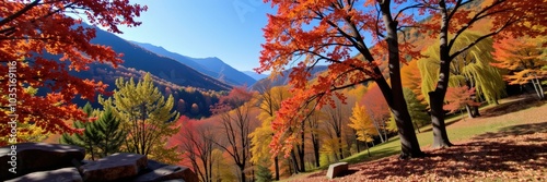 autumn landscape in the mountains