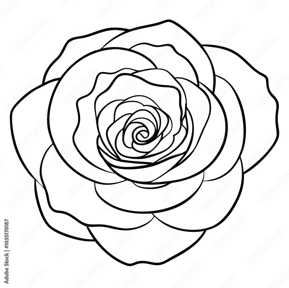 hand-drawn-zinnia-flower-vector line art hand-drawn-zinnia-flower-vector line art