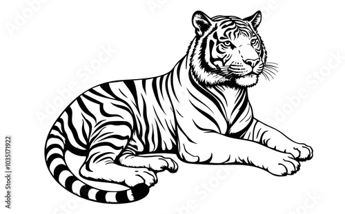 Majestic Resting Tiger Vector Illustration ? Detailed Black and White Wildlife Art.eps photo