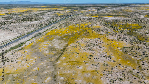 Aerial view of a scenic desert landscape with a road and truck amidst yellow flowers and arid vegetation, San Pedro, Mexico. photo