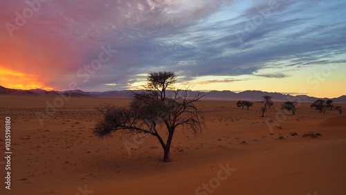 Namibian sunrise