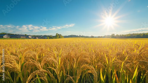 穂が揺れる日本の田園風景
