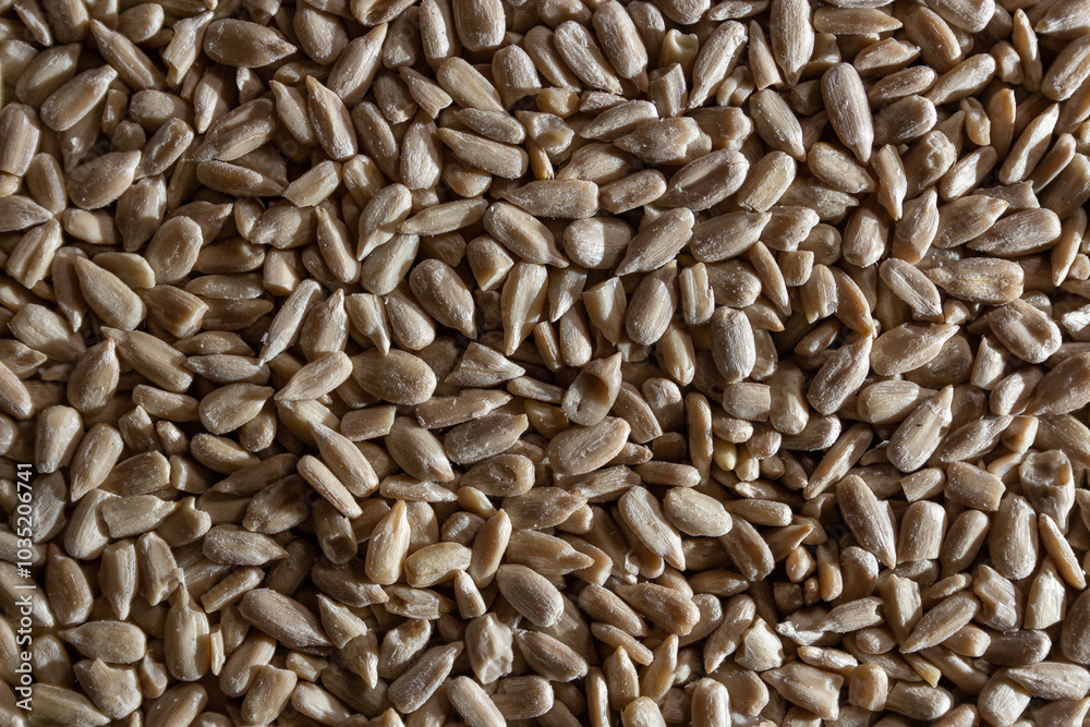 Peeled Sunflower Seeds Background: A Culinary Canvas of Shell-free Sunflower Seeds, Creating a Lively and Textured Background for Gourmet Cooking - Top View, Flat Lay Peeled Sunflower Seeds Background: A Culinary Canvas of Shell-free Sunflower Seeds, Creating a Lively and Textured Background for Gourmet Cooking - Top View, Flat Lay