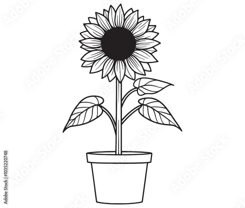 Sunflower flower outline illustration coloring book page design. Sunflower in a pot, Black and white flower