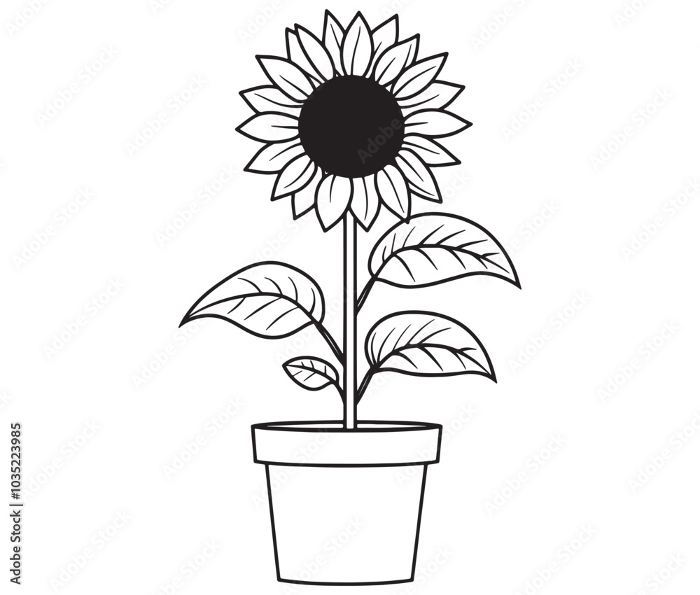 Sunflower flower outline illustration coloring book page design. Sunflower in a pot, Black and white flower Sunflower flower outline illustration coloring book page design. Sunflower in a pot, Black and white flower