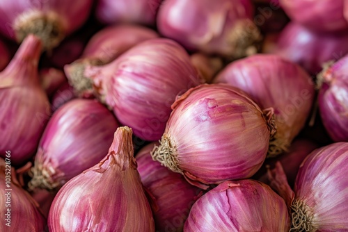 Shallots: Fresh and Flavorful Onion Vegetable for Cooking, Agriculture Background