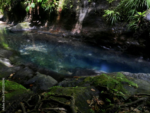 blue pond of clear freshwater in the jungle above bassin bleu in Gourbeyre, Guadeloupe