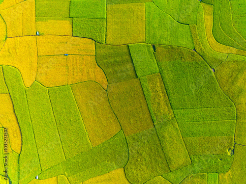 Aerial view of Phong Nam valley, Cao bang province, Vietnam with river, nature, rice fields, beautiful destination in Northern Vietnam photo