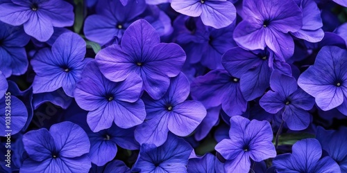 Close-up of a bunch of purple flowers