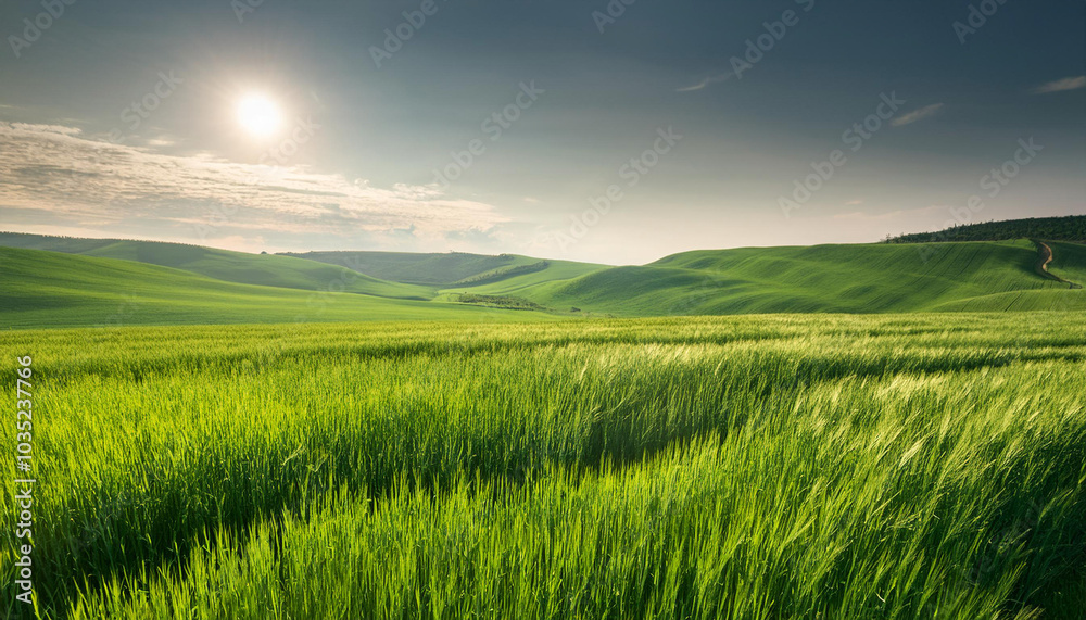 Fototapeta premium Close-Up of a Landscape with Green Fields