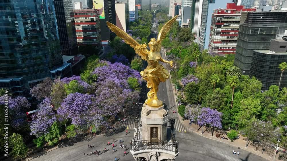 Aerial view of the iconic angel of independence surrounded by jacaranda trees and modern skyscrapers in a vibrant urban landscape, Cuauhtemoc, Mexico.