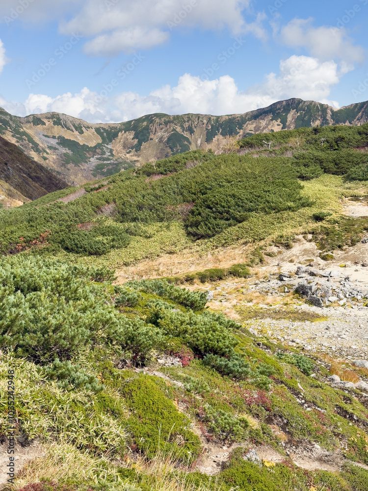 Naklejka premium 北アルプス弓折岳から望む西鎌尾根の風景