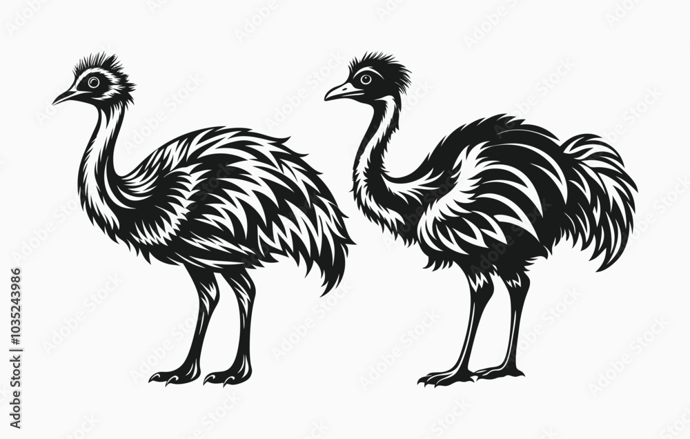 Fototapeta premium emu silhouette vector