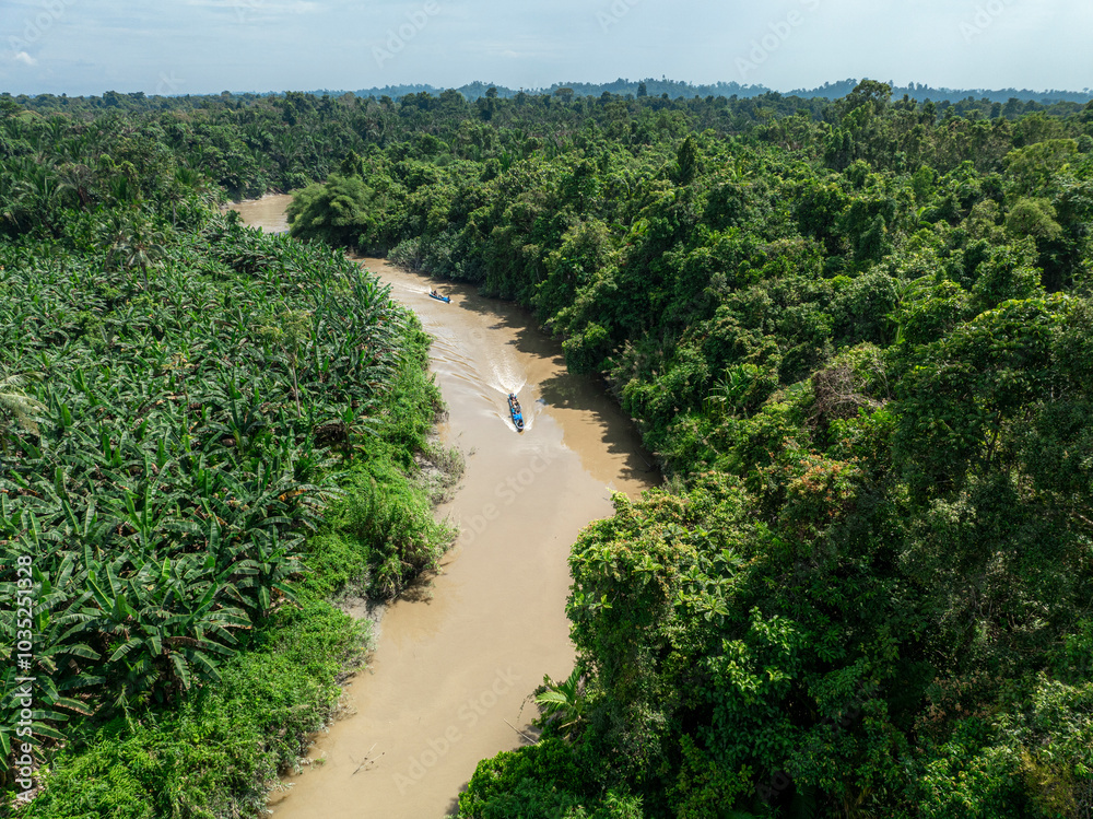 Aerial view of a lush tropical river winding through a pristine forest, Siberut Island, Indonesia. Aerial view of a lush tropical river winding through a pristine forest, Siberut Island, Indonesia.