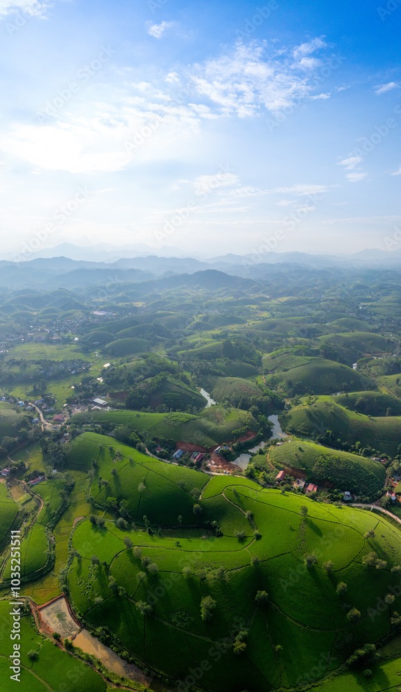 Fototapeta premium Aerial view of Long Coc tea hills, Phu Tho province, Vietnam. Beautiful green tea plantation in Vietnam. Nature background.