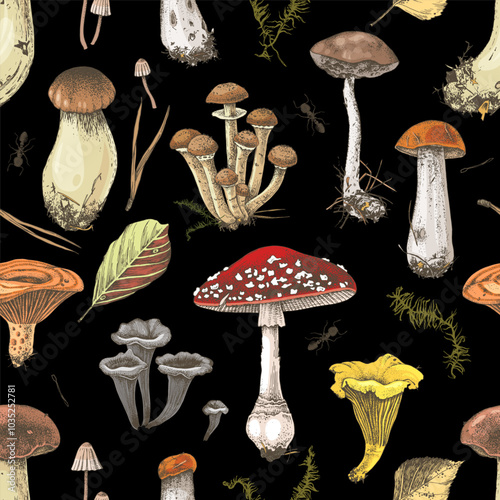Mushrooms hand drawn seamless pattern