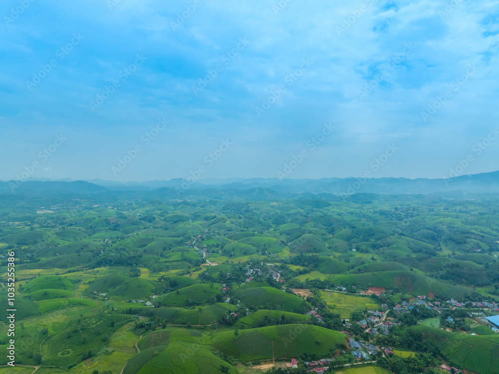 Obraz premium Aerial view of Long Coc tea hills, Phu Tho province, Vietnam. Beautiful green tea plantation in Vietnam. Nature background.