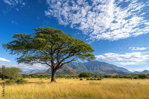 Majestic tree standing tall in a vibrant landscape under a blue sky with fluffy clouds.