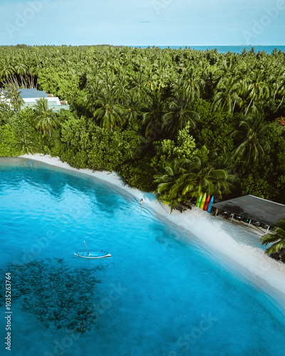 Aerial view of tropical beach with palm trees and clear blue ocean, Alif Dhaal Atoll, Maldives. photo