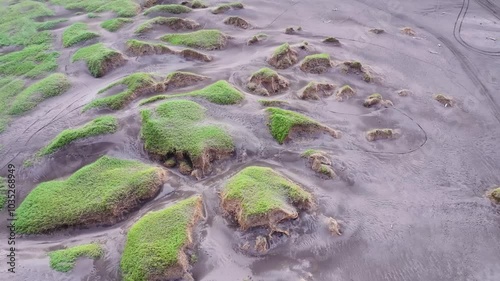 Aerial view of serene beach with green grass and unique sand patterns, Sandvik, Iceland. photo