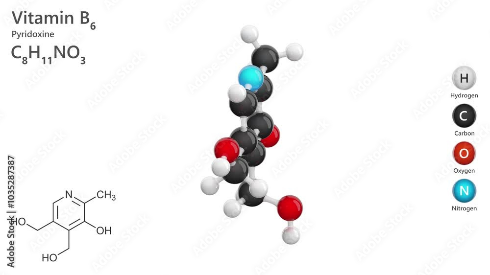 Pyridoxine. Animated 3d model of molecule. Molecular formula: C8H11NO3. Chemical model: Ball and Stick. The form of vitamin B6. White background. 3D rendering. Seamless loop Pyridoxine. Animated 3d model of molecule. Molecular formula: C8H11NO3. Chemical model: Ball and Stick. The form of vitamin B6. White background. 3D rendering. Seamless loop