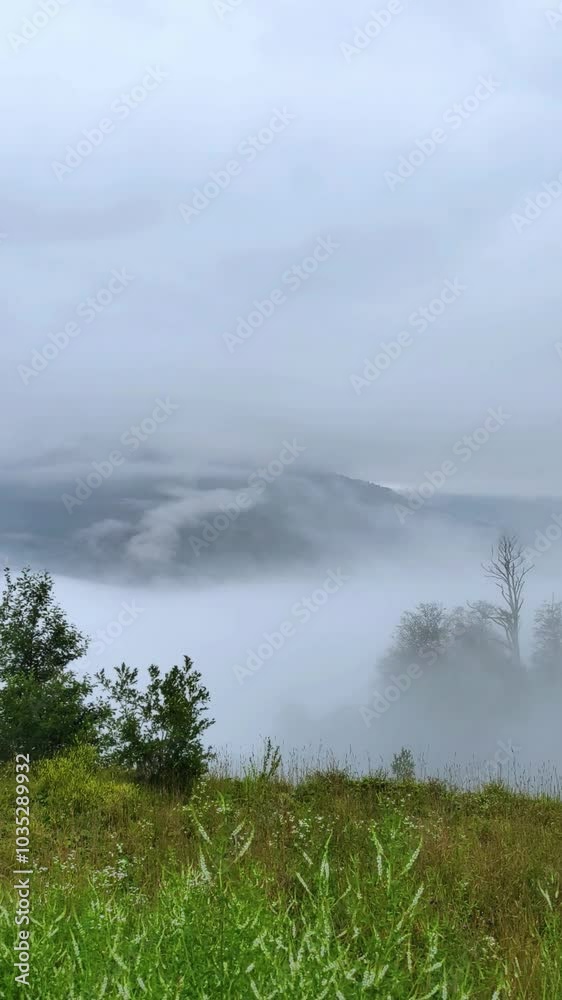 Beautiful fog on the hillside. Thick fog in the mountains. View from the top of the mountain. Beautiful fog on the hillside. Thick fog in the mountains. View from the top of the mountain.