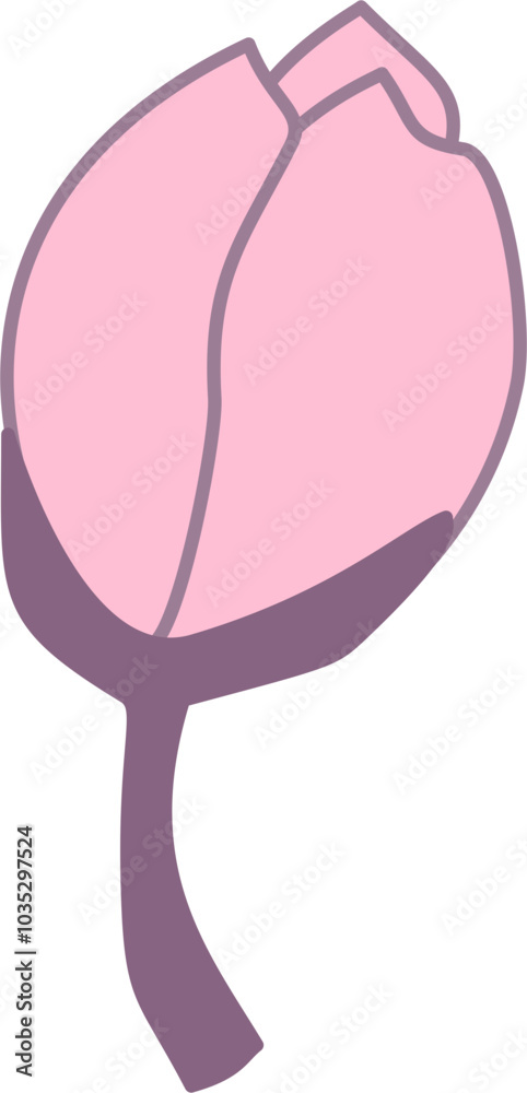 Flower Bud Flower Bud