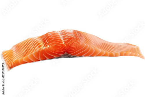 Beautifully Isolated Raw Salmon Fillet Perfect for Culinary Presentations and Gastronomic Uses