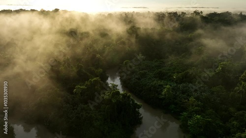 Aerial view of lush forest and serene river at dawn with mist and sunshine, Siberut Island, Indonesia. photo