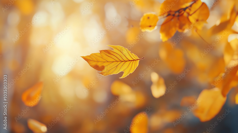 A single, golden leaf hangs from a branch, illuminated by the warm autumn sun. A single, golden leaf hangs from a branch, illuminated by the warm autumn sun.