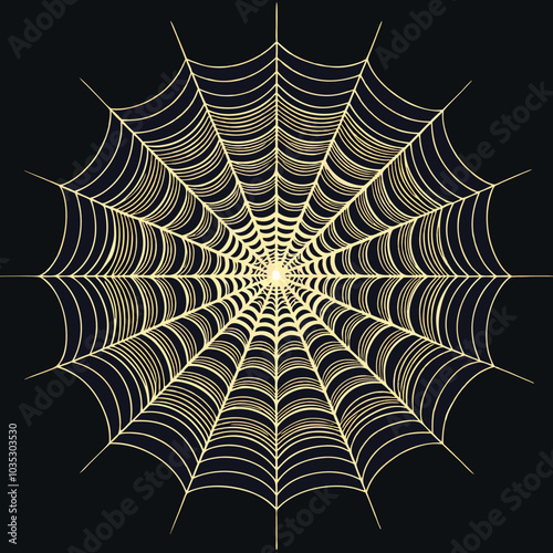 spider and web