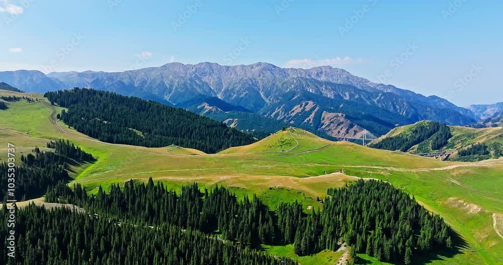 Green grasslands and forest with mountain natural landscapes in summer. Beautiful grassland pasture scenery in Xinjiang, China.