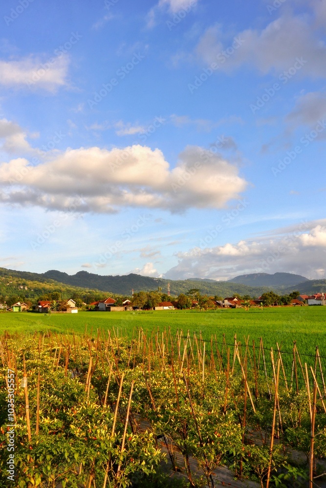 Fototapeta premium Beautiful countryside landscape featuring lush green fields, a clear blue sky, and distant mountains.