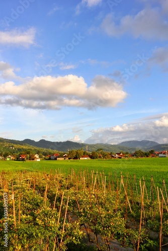 Beautiful countryside landscape featuring lush green fields, a clear blue sky, and distant mountains.