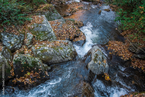 A gentle stream can accomplish more than a raging storm, Anna Ruby Falls, Helen, Georgia, United States of America photo