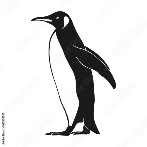 Penguin. Hand drawn vector illustration on white background
