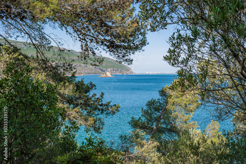 Tree and pine leaves framing the blue sea at Portinho da Arrábida beach, Setúbal PORTUGAL