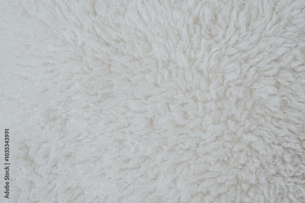 Soft, fluffy white rug texture in natural light highlighting its cozy and inviting appearance Soft, fluffy white rug texture in natural light highlighting its cozy and inviting appearance