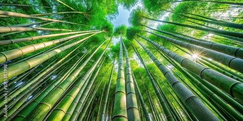 Tall bamboo trees in bright green nature close-up