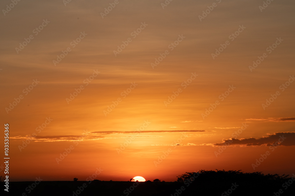 Naklejka premium Sunset in the Serengeti Tanzania