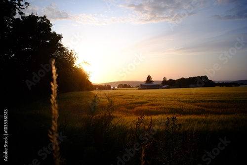 sunset over the field