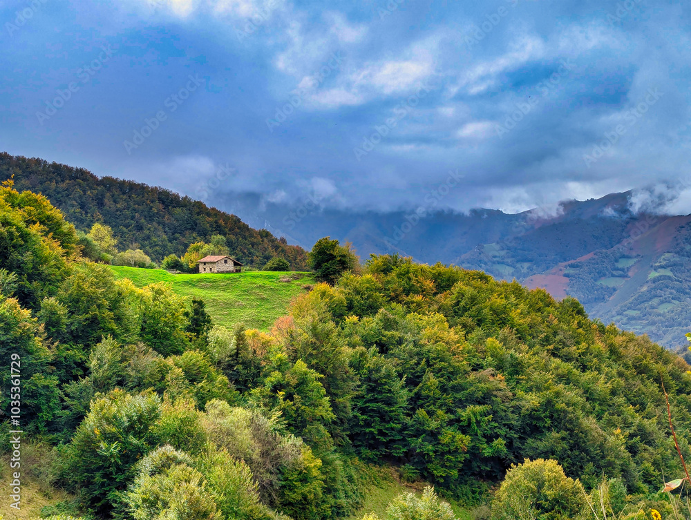 Cabin, woods and mountains, Aller, Asturias, Spain Cabin, woods and mountains, Aller, Asturias, Spain