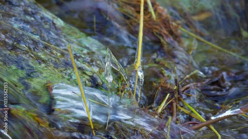 Frozen gras inside a waterstream in the swiss mountains. photo